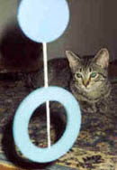 {short description of image}