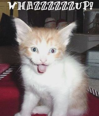 {short description of image}